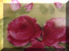Hand Painted Bavarian Crimson Rambler Floral Plate
