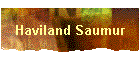 Haviland Saumur