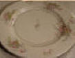 Haviland Apple Blossom Dinner Plate