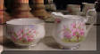 Royal Albert Blossom Time Open Sugar and Creamer